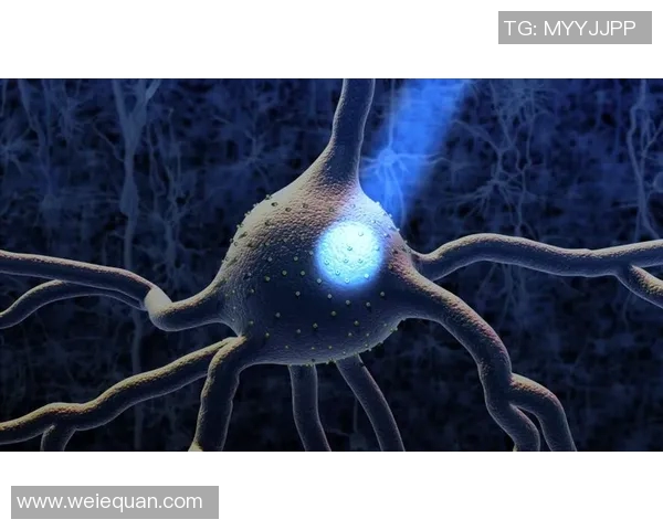 代怀博：探索新兴代孕行业的法律与伦理挑战与未来发展趋势