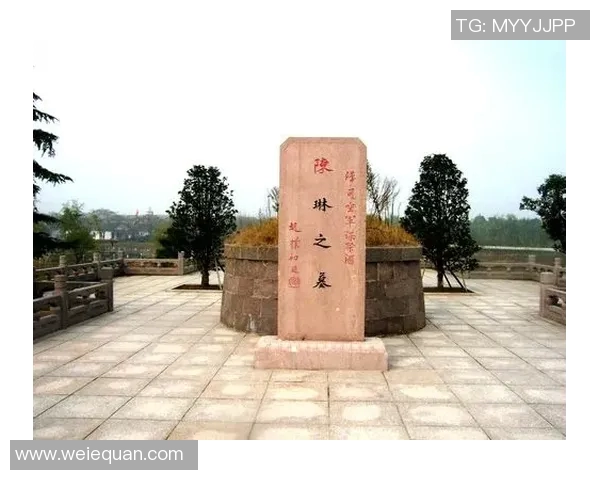 休斯敦对盐城湖精彩直播全程回顾及赛后分析